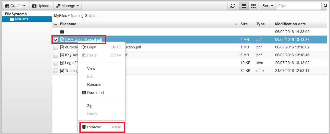 How to remove a file from the File Repository Support